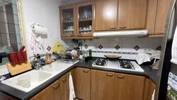 Parc Palais (D21), Condominium #366460831
